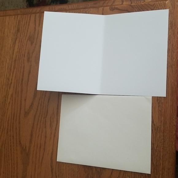 BRAND NEW Lot Of 3 Blank Janice Scherer Art Notecards - Picture 6 of 6